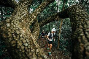 BIB: 
                            <button type="button" onclick="openModal(25393336)" class="btn btn-primary btn-sm float-right btn-popup" data-toggle="modal" data-target=".modal-high-quality">
                        <i class="fas fa-shopping-cart"></i> Add to Cart
                    </button>
                                            <button type="button" onclick="isThisMe(25393336, true)" class="btn btn-success btn-sm float-right btn-popup btn-isme hidden" data-toggle="tooltip" data-placement="bottom" title="นี่คือรูปของคุณใช่ไหม คลิกที่นี่เพื่อเอาเข้าอัลบั้ม">
                        <i class="fas fa-plus"></i> Add to album
                    </button>
                    <button type="button" onclick="isThisMe(25393336, false)" class="btn btn-warning btn-sm float-right btn-popup btn-isnotme hidden">
                        <i class="fas fa-ban"></i> Remove from album
                    </button>